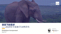 2019年中国象牙消费研究.pdf