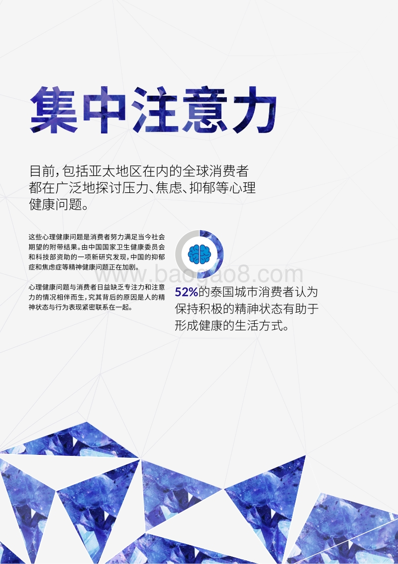 为脑力充电：亚太地区脑力时代创新.pdf_第5页