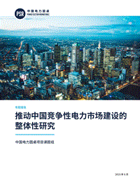 推动中国竞争性电力市场建设的整体性研究.pdf