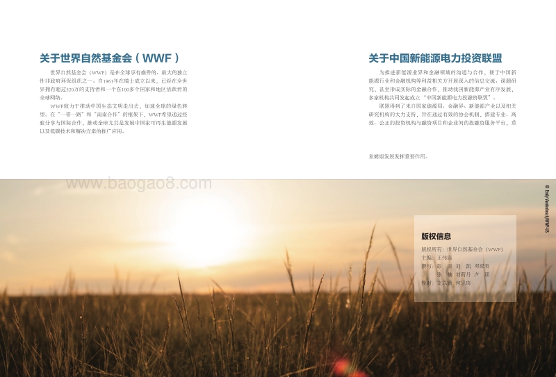 中国可再生能源海外投资的机遇与挑战案例国研究（菲律宾）.pdf_第2页