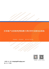 区块链产业园案例：粤港澳大湾区青年创新创业基地.pdf