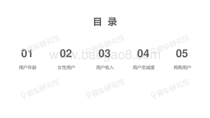 2019版用户演变洞察报告：车市萧条，用户新红利在哪里？.pdf_第3页