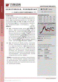 电新行业2020年投资策略报告（下）：光伏海内外预期均改善，风电抢装盛宴勿缺席.pdf