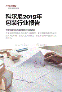2019年包装行业报告.pdf