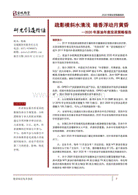2020年原油年度投资策略报告：疏影横斜水清浅，暗香浮动月黄昏.pdf