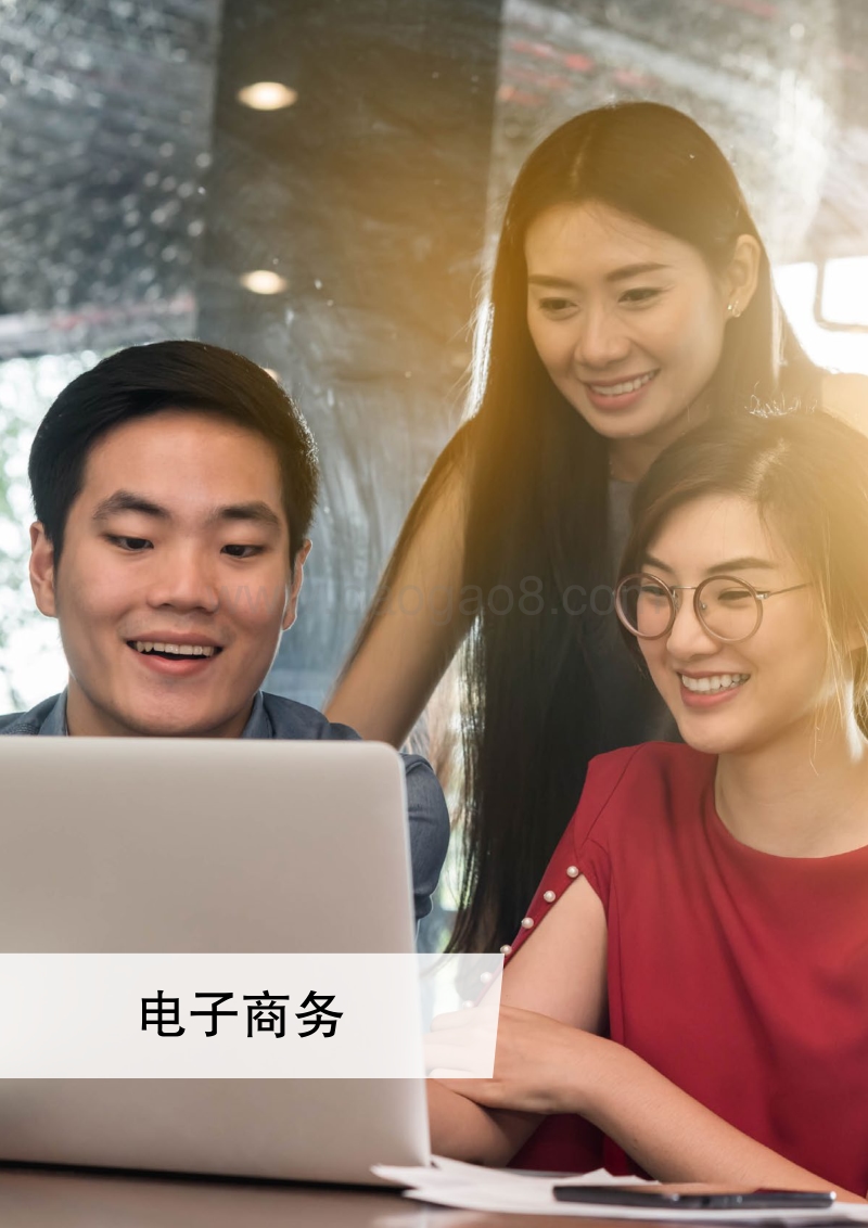 2017工业采购趋势洞察.pdf_第5页