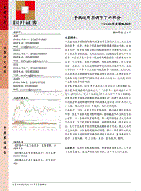 2020年度策略报告：寻找逆周期调节下的机会.pdf