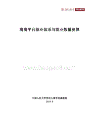 滴滴平台就业体系与就业数量测算.pdf