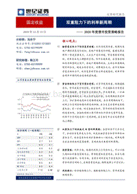 2020年度债市投资策略报告：双重阻力下的利率新周期.pdf