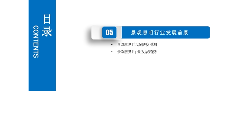 2020年景观照明行业市场发展前景及投资研究报告.pdf_第5页