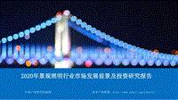 2020年景观照明行业市场发展前景及投资研究报告.pdf