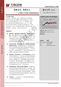 大消费行业2020年投资策略报告：顺势而为，乘势而上.pdf