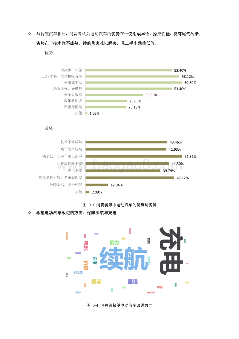 纯电动汽车消费者调查报告.pdf_第5页