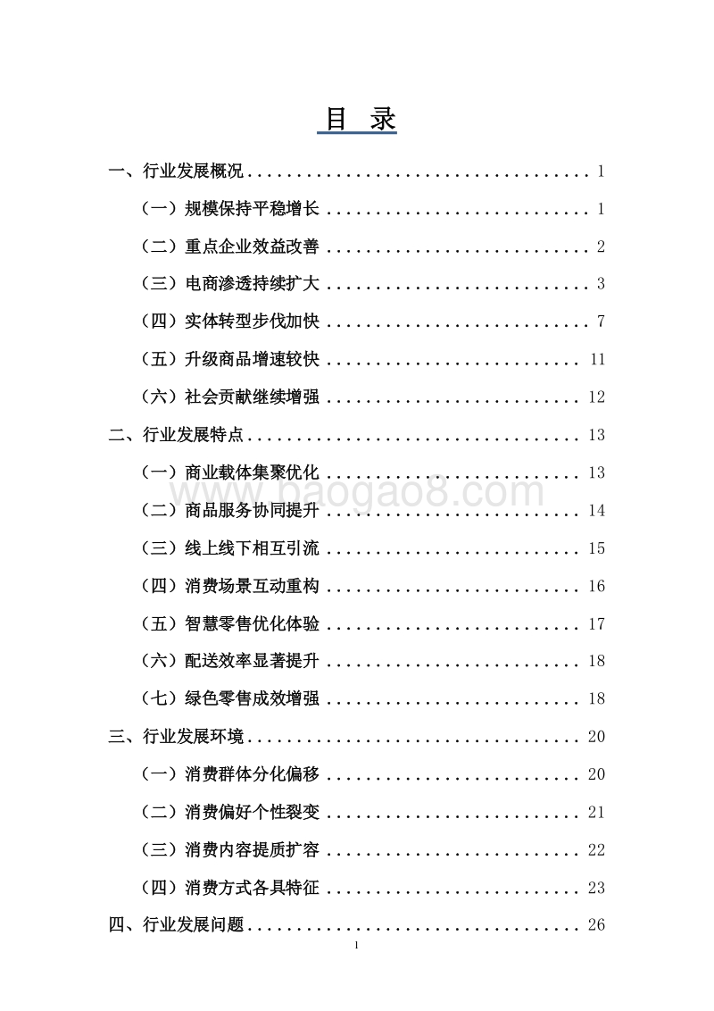 2018-2019中国零售行业发展研究报告.docx_第2页