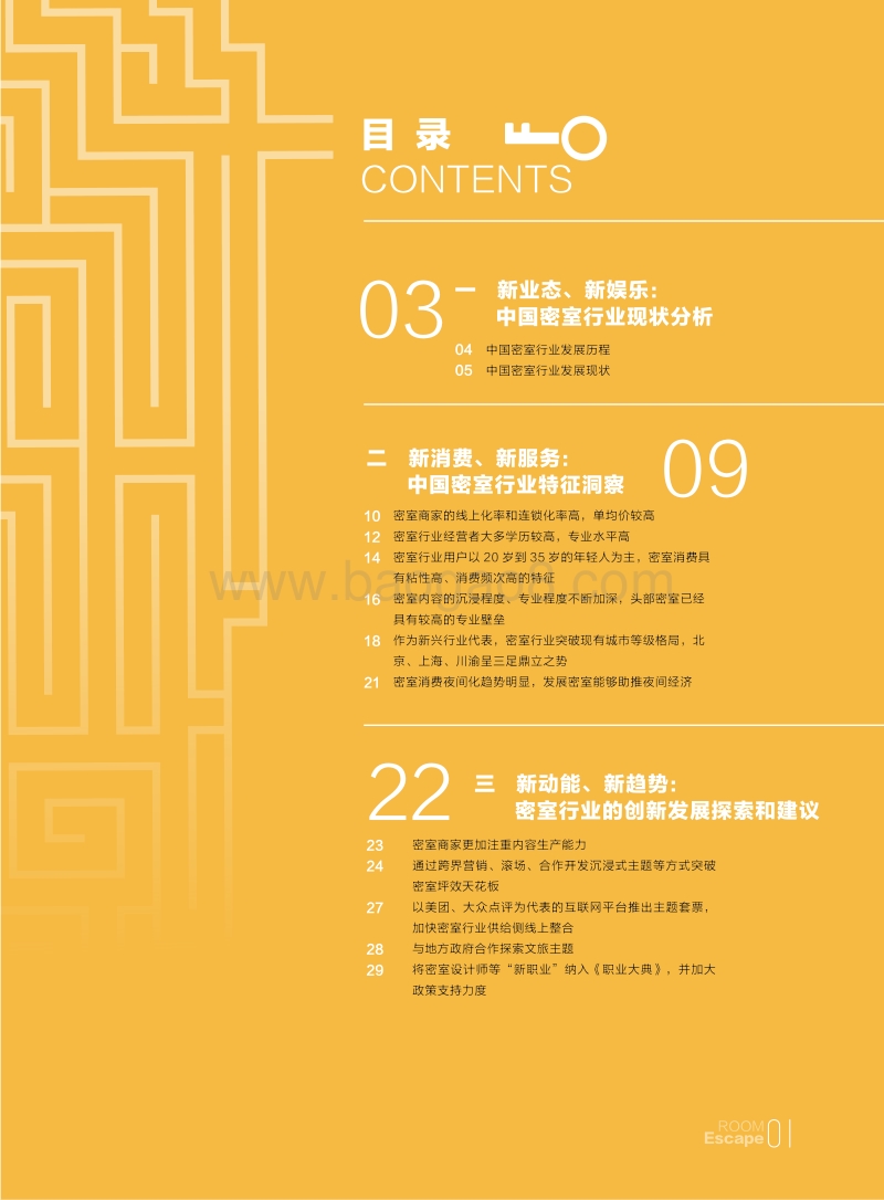 2019年密室行业消费洞察报告.pdf_第3页