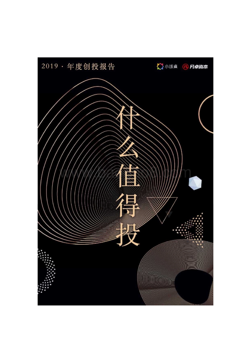 什么值得投2019年度报告.pdf_第1页