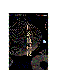 什么值得投2019年度报告.pdf