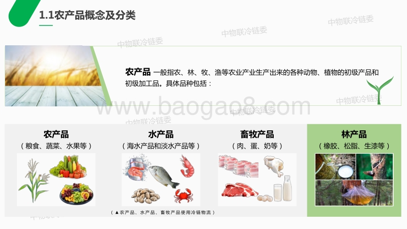 CCLC：2019农产品产地冷链研究报告.pdf_第4页