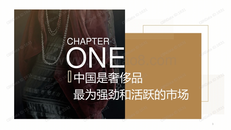 天猫&CBNData：2019年天猫奢侈品消费行业白皮书.pdf_第3页