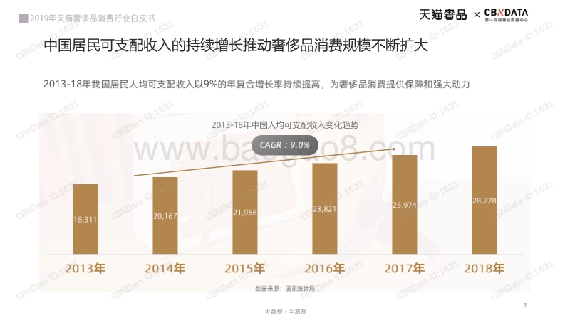天猫&CBNData：2019年天猫奢侈品消费行业白皮书.pdf_第5页