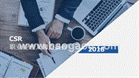 2018年CSR职业经理人调查报告.pptx