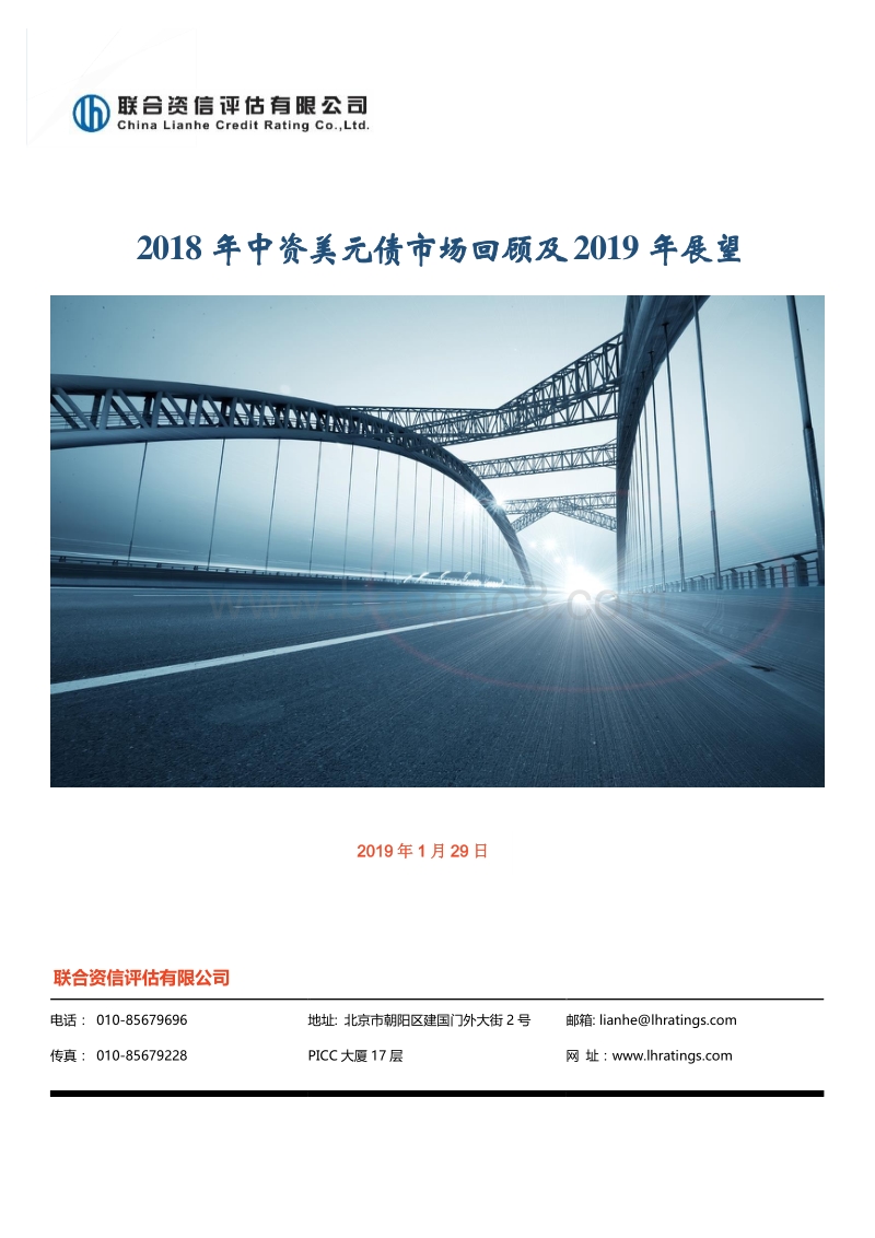 2018年中资美元债市场回顾及2019年展望.pdf_第1页