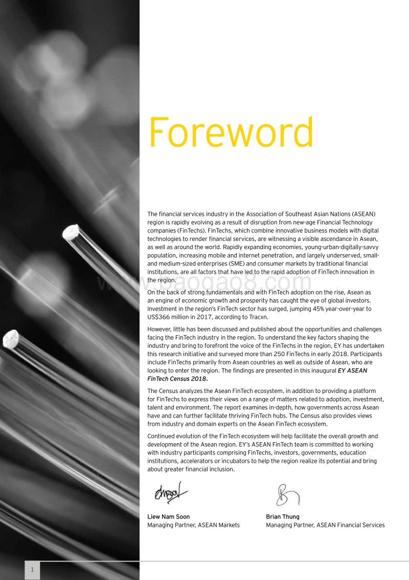 2018年东盟金融科技报告.pdf_第2页