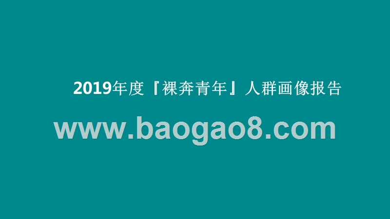 2019年度『裸奔青年』人群画像报告.pptx_第1页