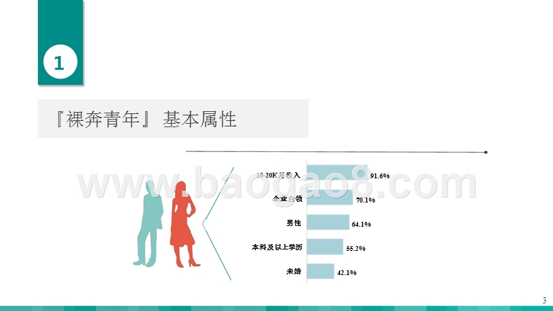 2019年度『裸奔青年』人群画像报告.pptx_第3页