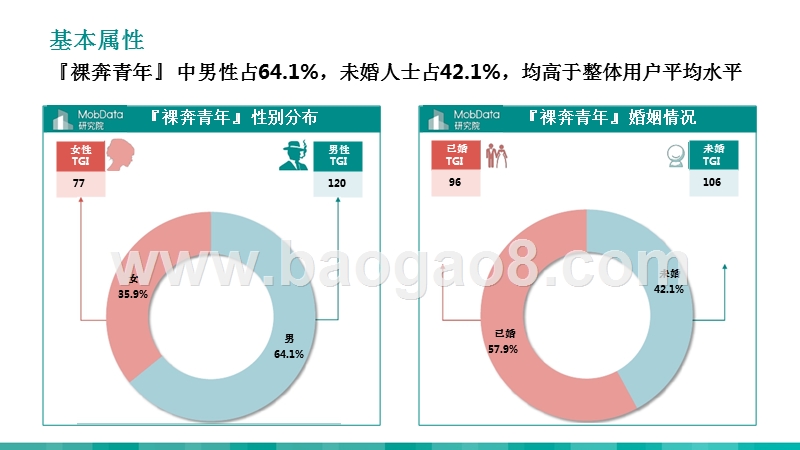 2019年度『裸奔青年』人群画像报告.pptx_第4页