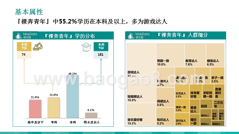 2019年度『裸奔青年』人群画像报告.pptx_第5页