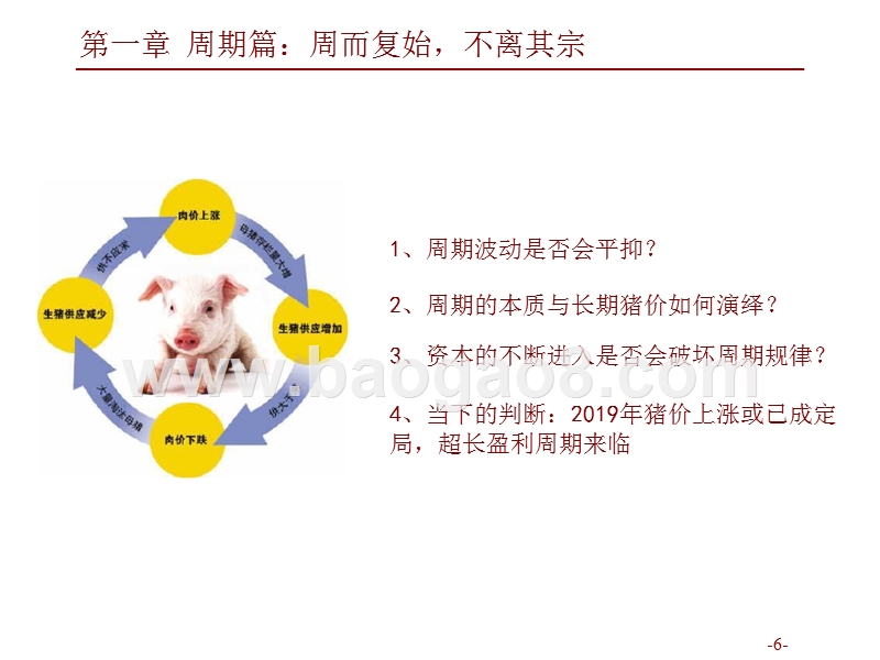 2019年生猪养殖行业分析报告.pptx_第4页