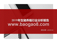 2019年生猪养殖行业分析报告.pptx