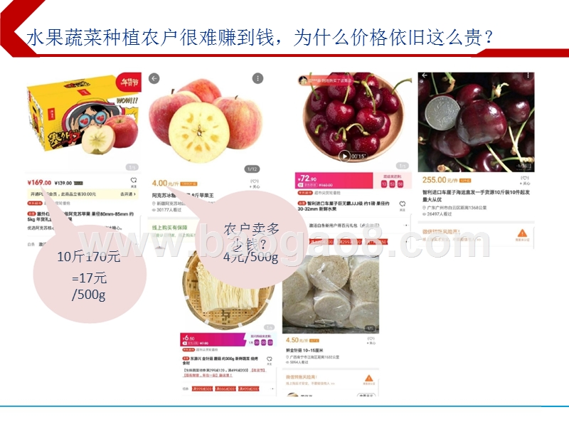 2019生鲜品类加价环节分析与测算报告.pptx_第2页