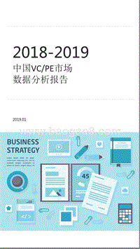 2018-2019中国VCPE市场数据分析报告.pptx