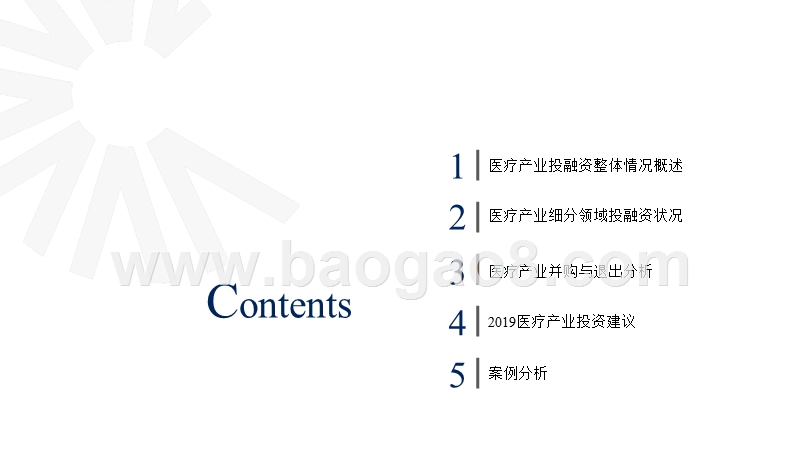 2019年医疗产业投资分析报告.pptx_第3页