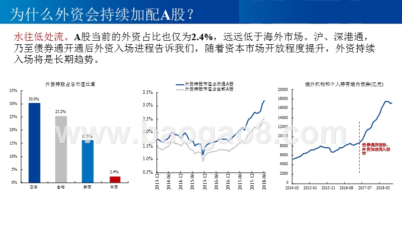 2019年外资市场分析报告.pptx_第4页