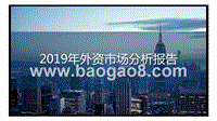 2019年外资市场分析报告.pptx