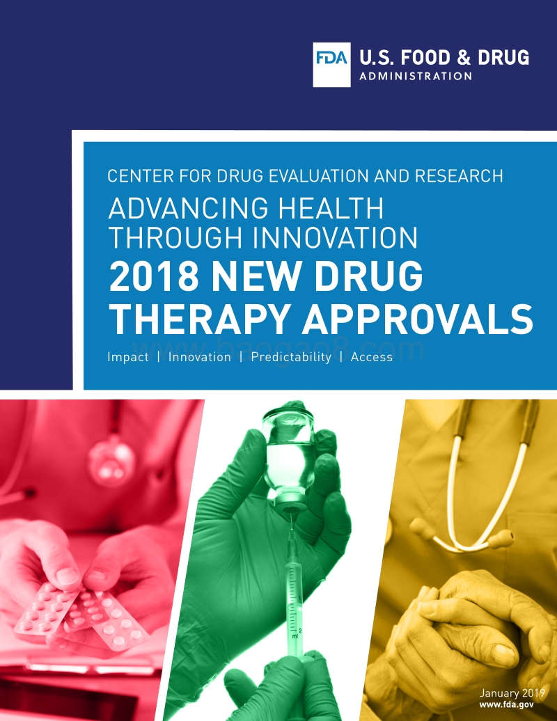 2018年度新药评审报告（英文版）.pdf_第1页