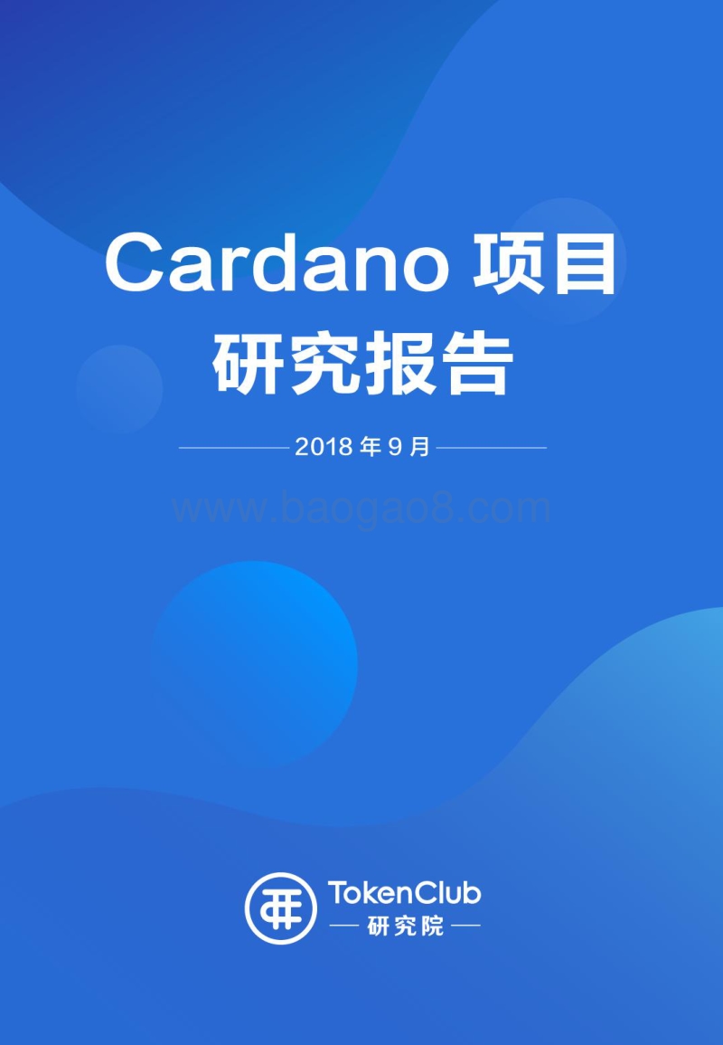 Cardano项目研究报告.pdf_第1页