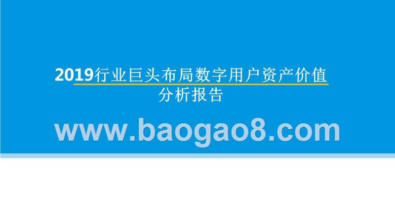 2019行业巨头布局数字用户资产价值分析报告.pptx_第1页