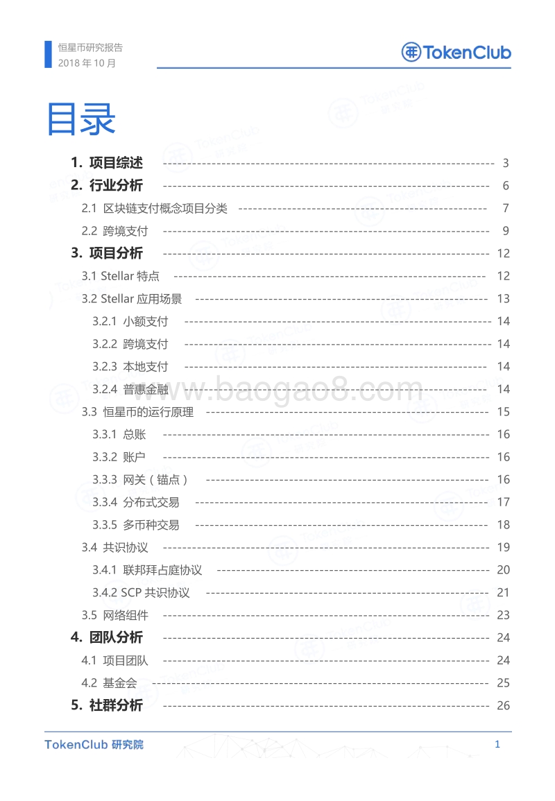 恒星币研究报告.pdf_第2页