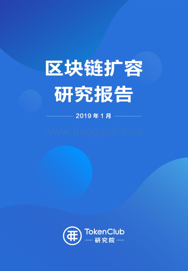 区块链扩容研究报告.pdf_第1页