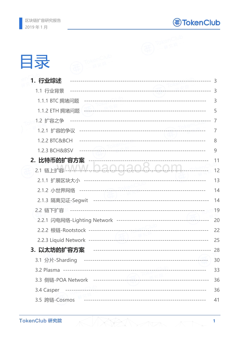 区块链扩容研究报告.pdf_第2页