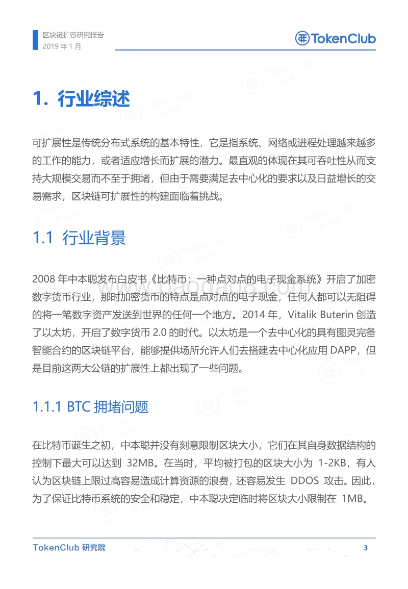 区块链扩容研究报告.pdf_第4页