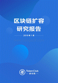 区块链扩容研究报告.pdf