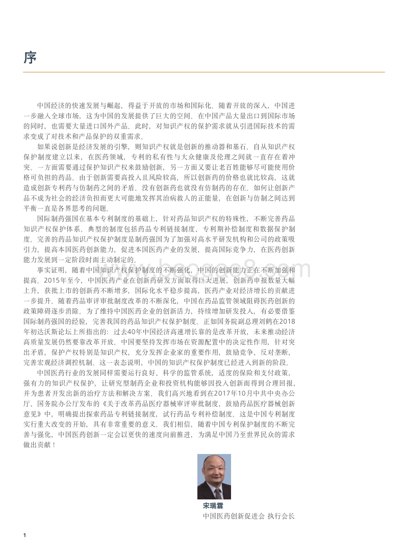 保护创新、促进仿制：对中国建立药品专利保护体系的政策建议.pdf_第4页