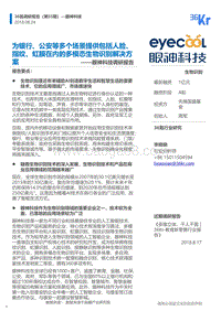 眼神科技企业调研报告.pdf