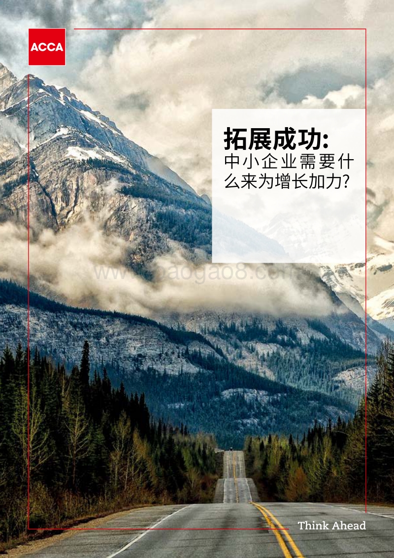 拓展成功：中小企业需要什么来为增长加力.pdf_第1页
