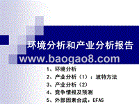 环境分析和产业分析报告.ppt